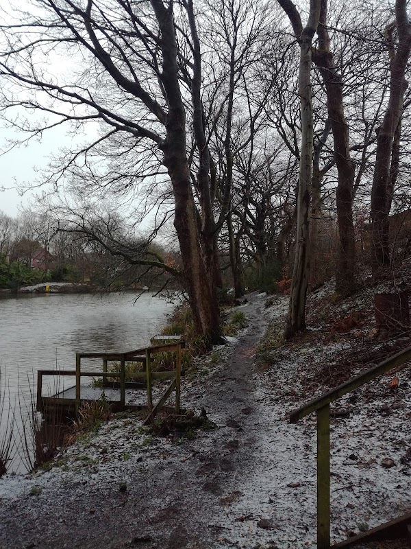 Doe Hey Playing Field