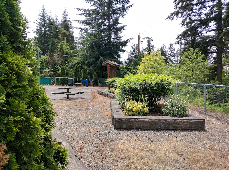 Madrona Park