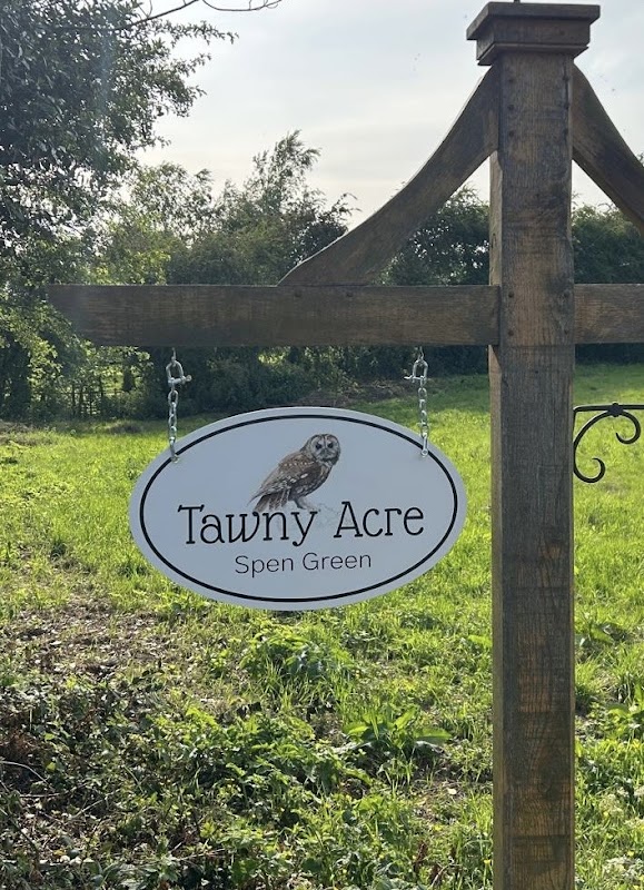 Tawny Acre