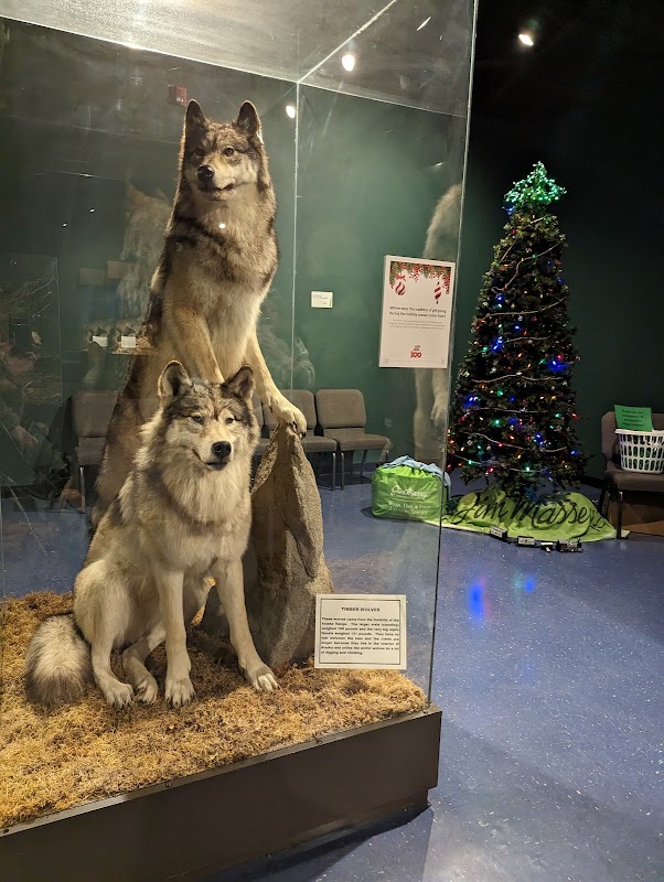 Mann Wildlife Learning Museum