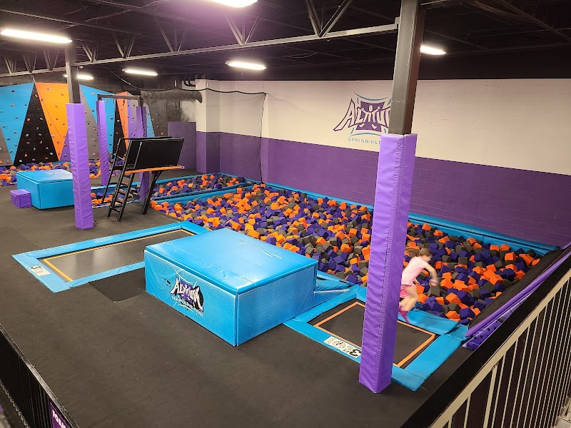Altitude Trampoline Park Spring-Klein
