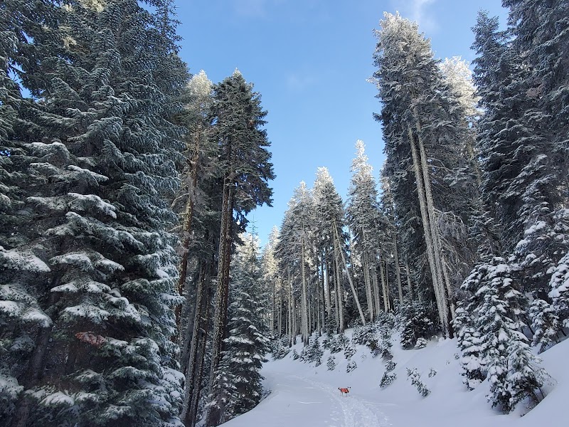 Bull Gap Lower Trailhead