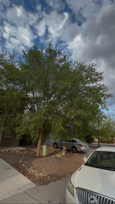 Glennwilde Groves Park & Grassy Knoll