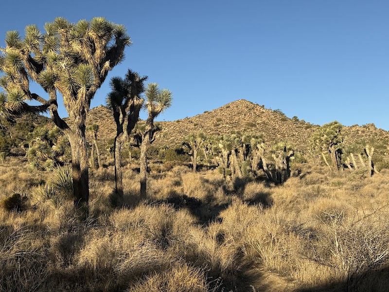 West Side Loop Trailhead