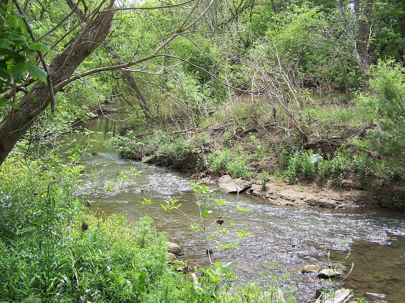 Salado Creek at Loop 13