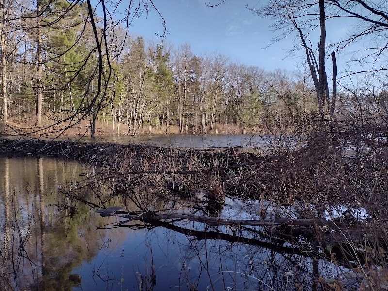 Old Frye Farm Town Forest