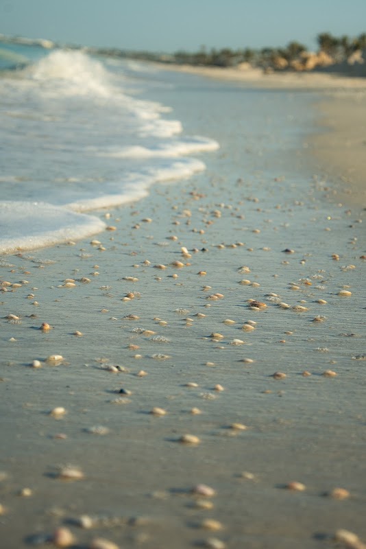 19th St W- Beach Access