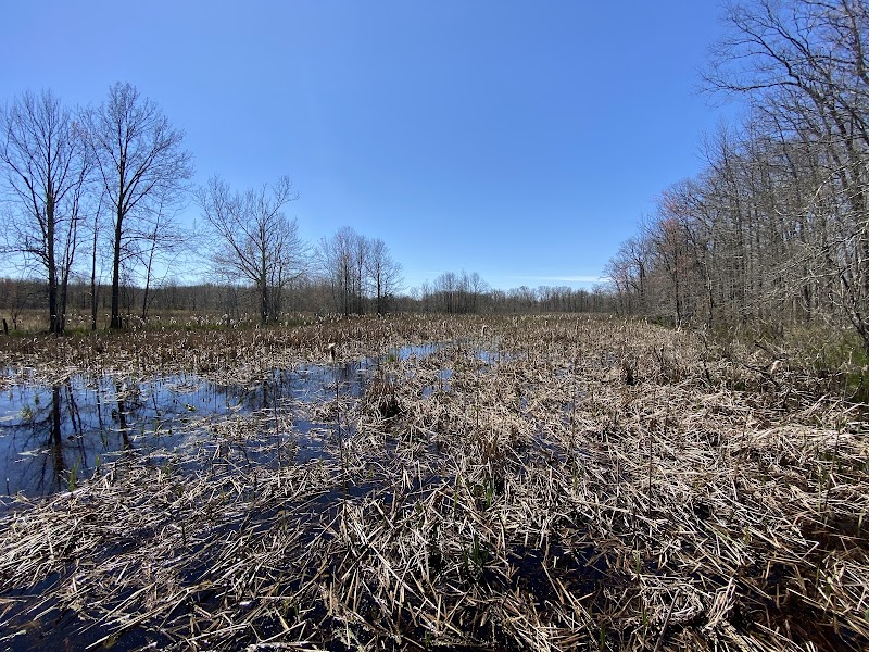 Great Swamp Wildlife Observation Center