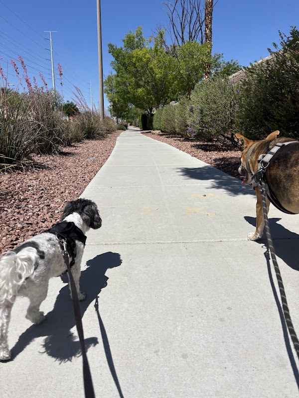 Aliante community back park