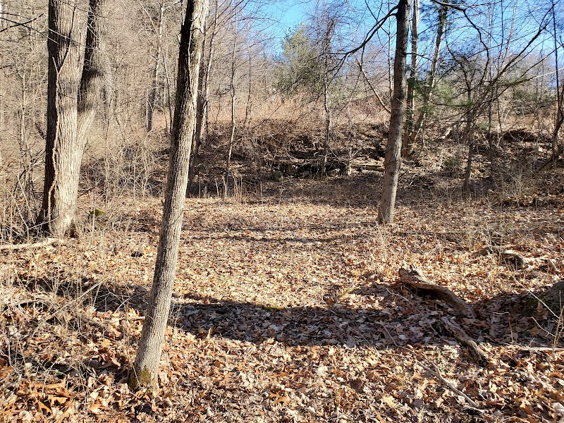 Mountain Spring Nature Trail