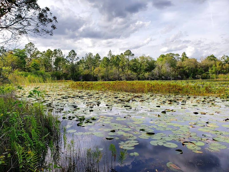 Hidden Pond Preserve