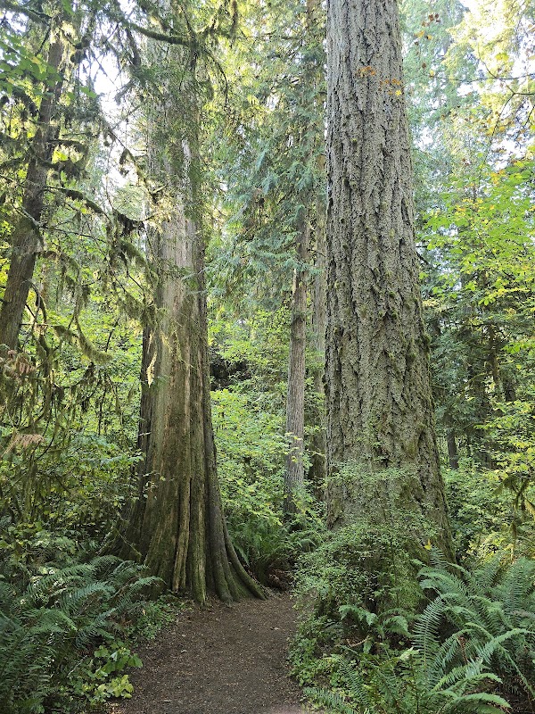 Eagle Fern Park