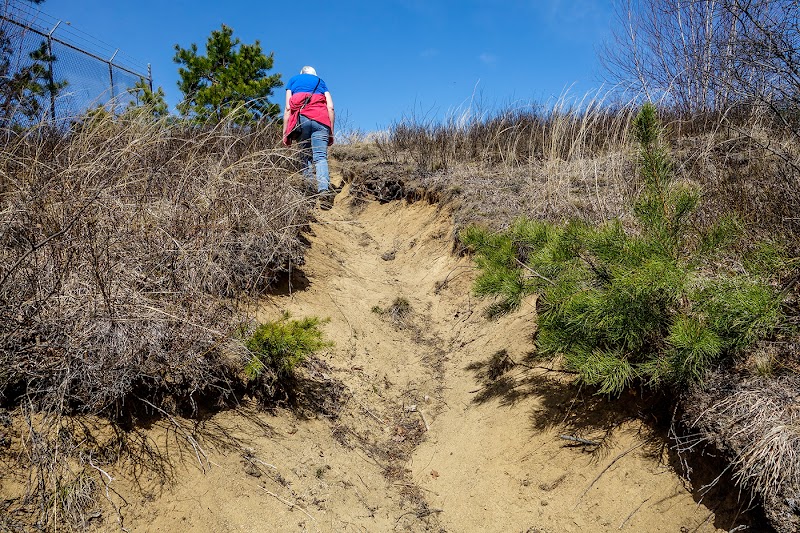 Karner blue butterfly wildlife conservation habitat
