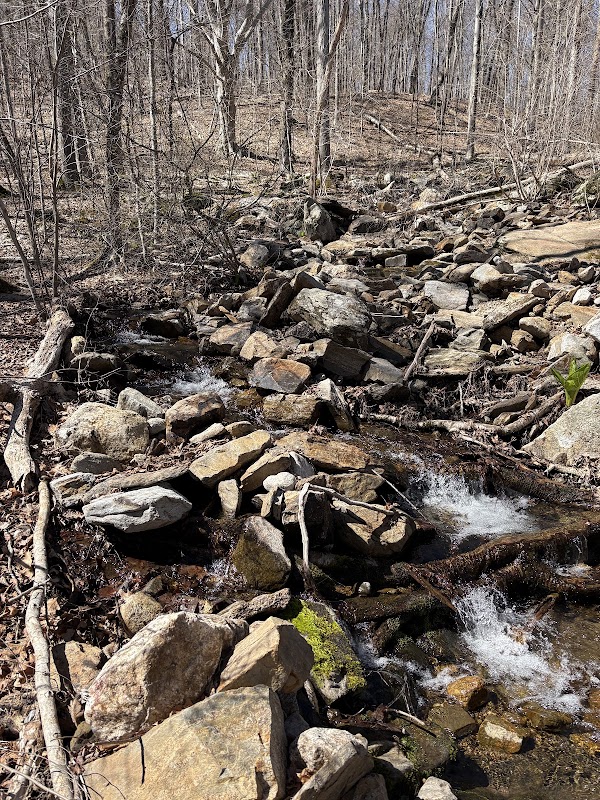 Cipusqahta trailhead