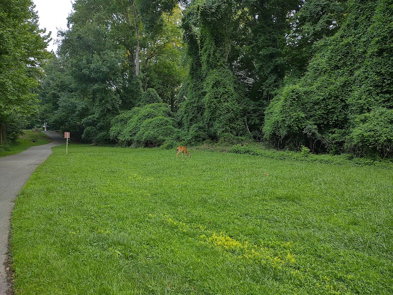 Greenway Trail North Hills