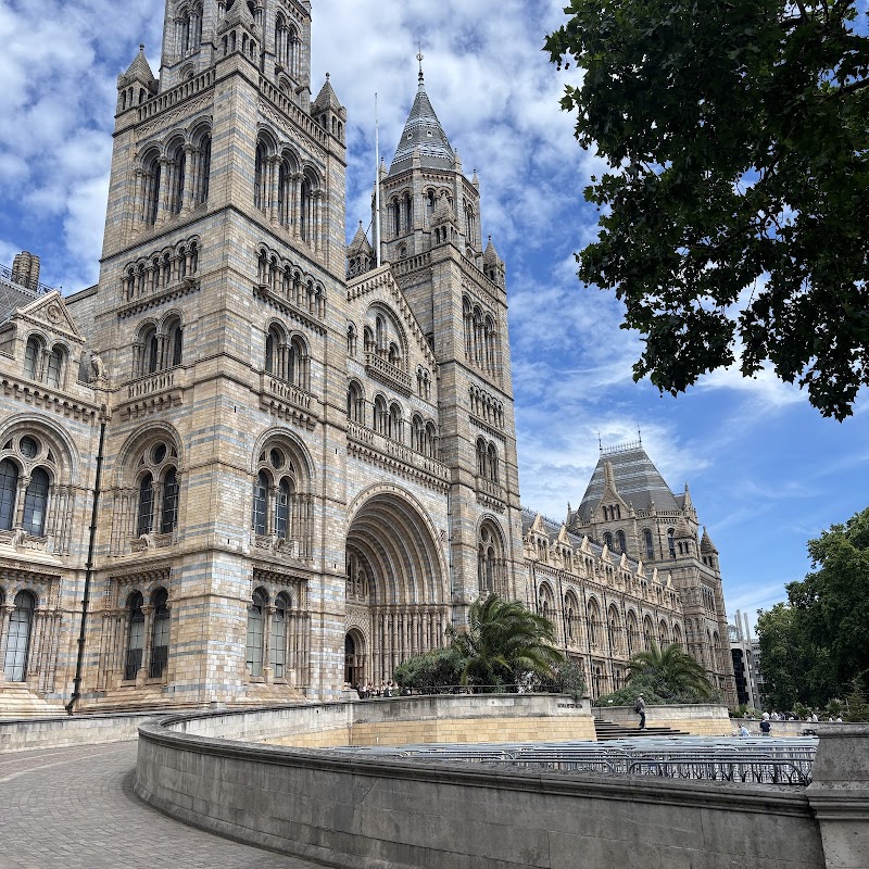 Nature Discovery Garden