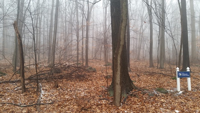 Wildlands Conservancy Buehler Memorial Park