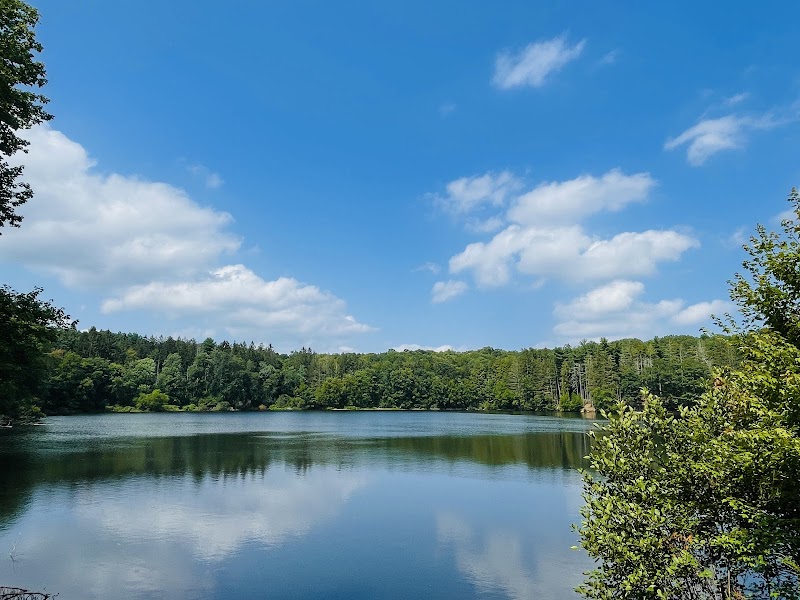 Naugatuck State Forest