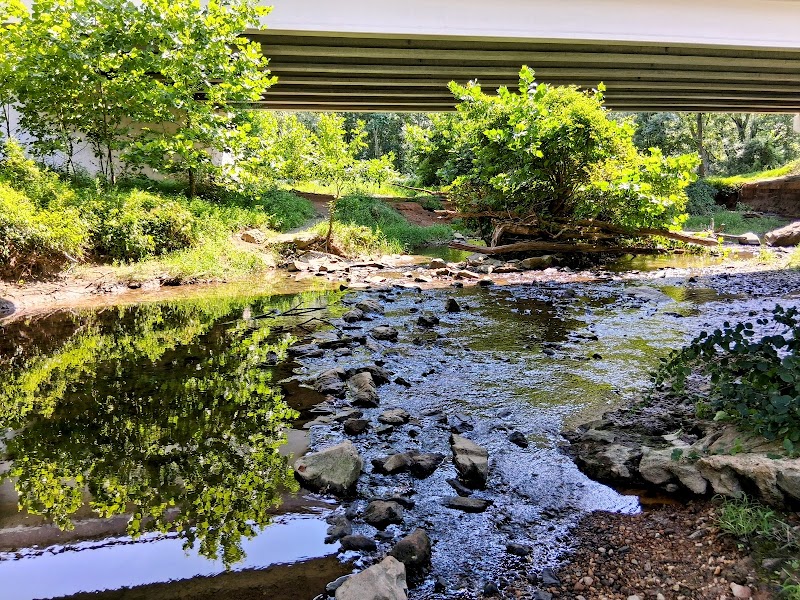 Kengla Trail / North Branch Trail junction