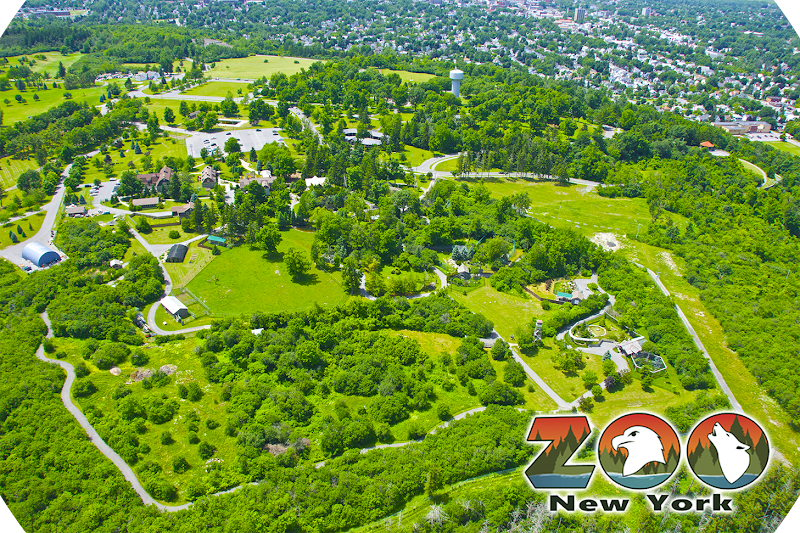 Zoo New York