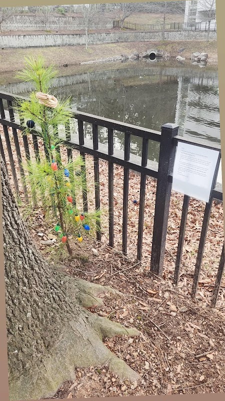 The best christmas tree ever