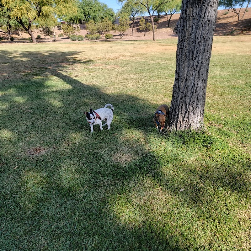 Arbors Park in Power Ranch