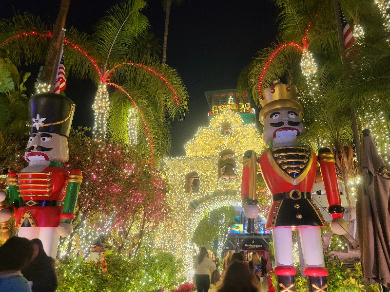 Riverside Festival Of Lights