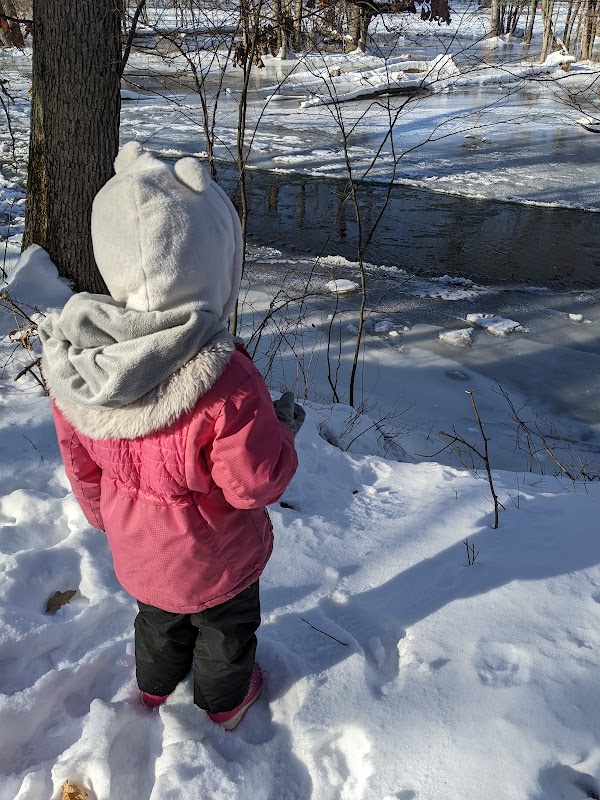 North Country Trail Head