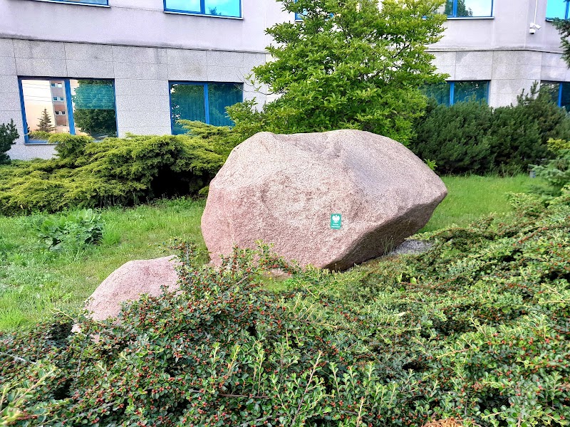 Pomnik przyrody - Głaz narzutowy