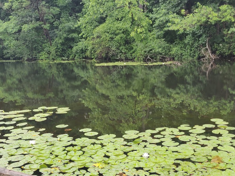 Foley Pond On Paint Creek Trail