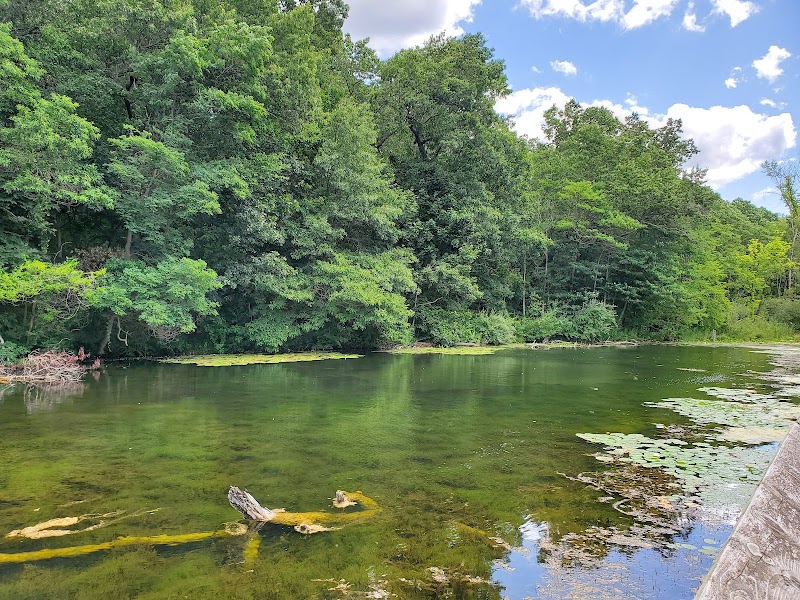 Foley Pond On Paint Creek Trail