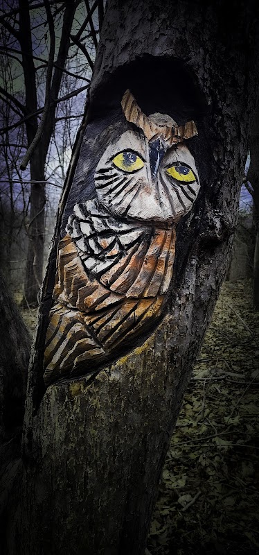 Rattlesnake Mountain trail head