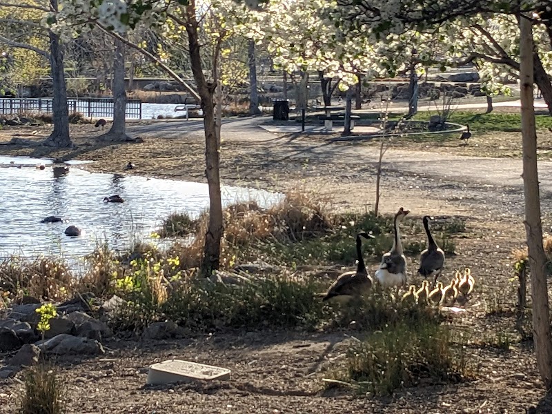 Teglia's Paradise Park Activity Center