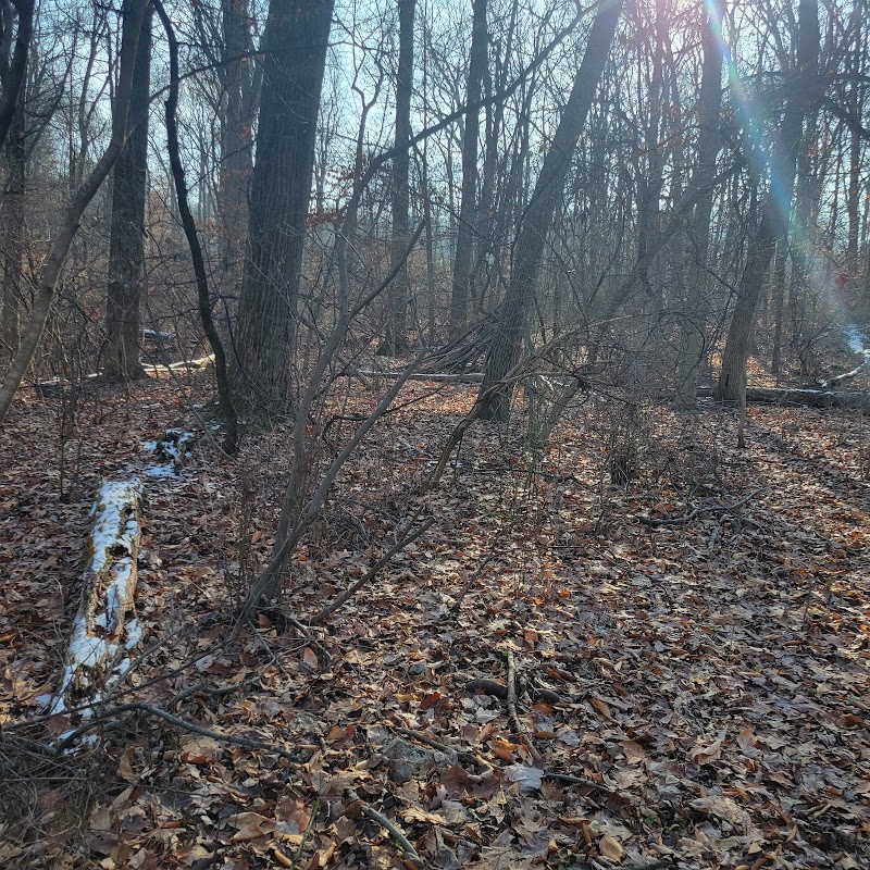 The Oaks Trail