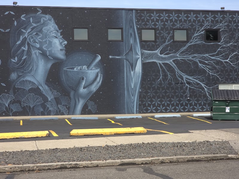 Miles Toland Mural Koru
