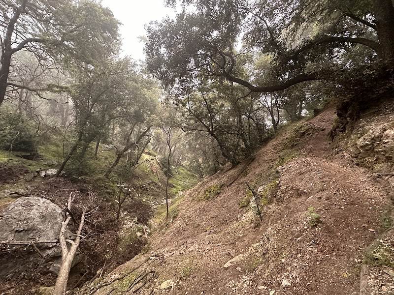 Upper Winter Creek Junction