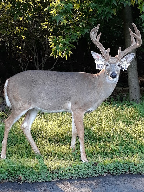William T Davis Wildlife Refuge