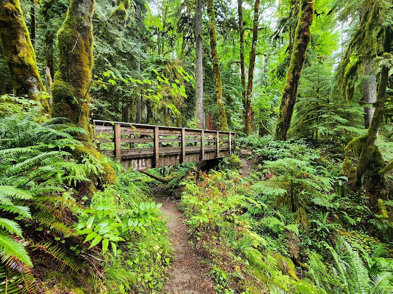 Old Salmon River Trailhead