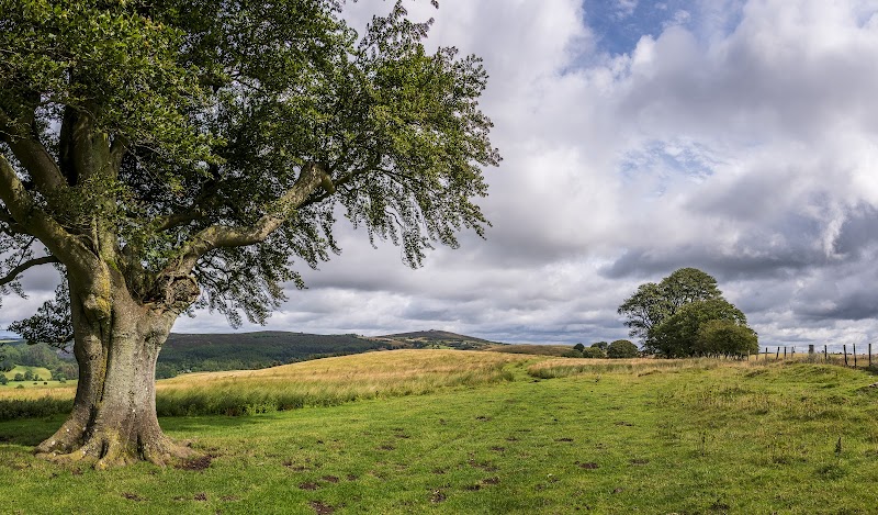 Linley Hill