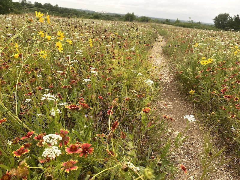 Tandy Hills Natural Area / Stratford Nature Area