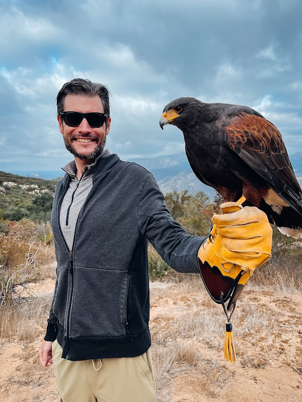 Sky Falconry