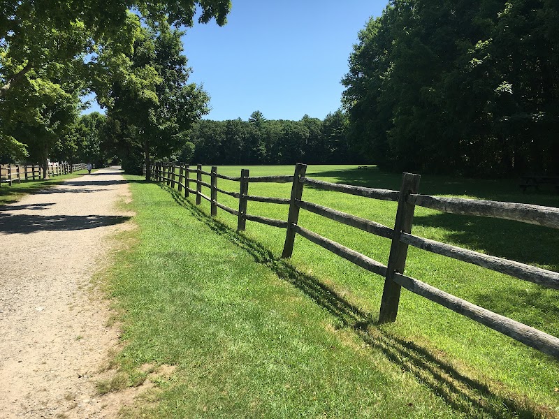Christine M. Loeber Memorial Garden