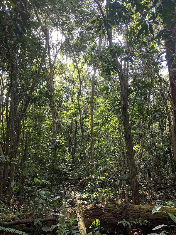 Castellow Hammock Preserve & Nature Center