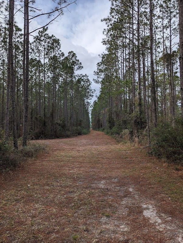 Sal Taylor Creek Preserve
