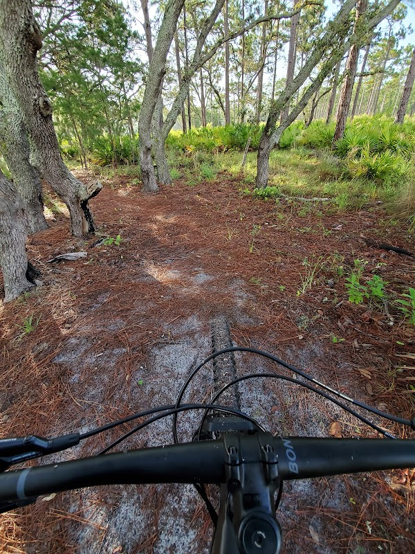 MTB Trail Marker 36