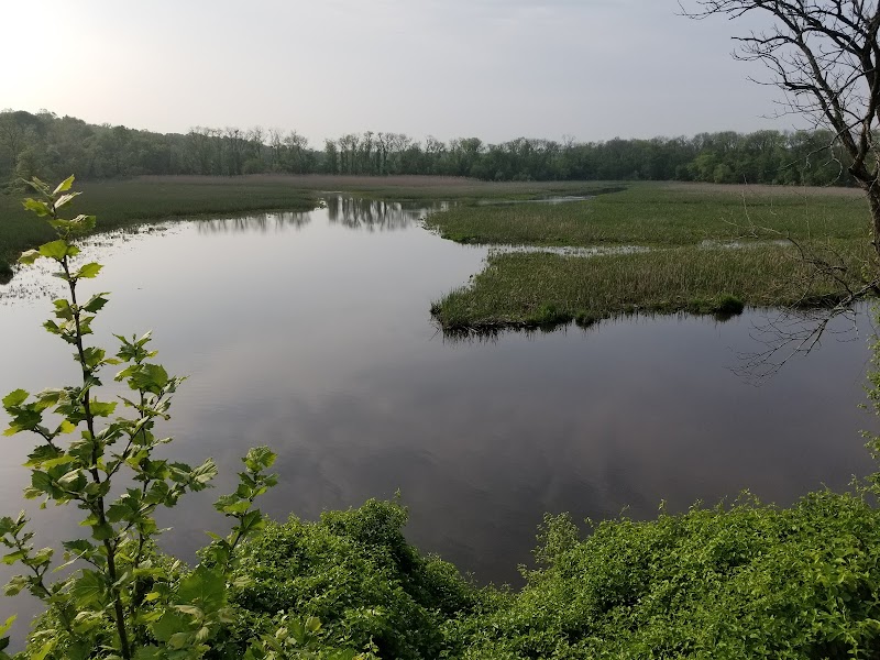 Bush Declaration Natural Resources Management Area