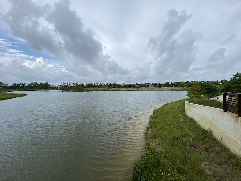 Dragonfly Park Bridgeland