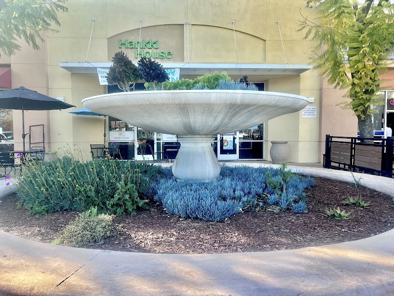 Bernal Plaza Plant Garden Fountain