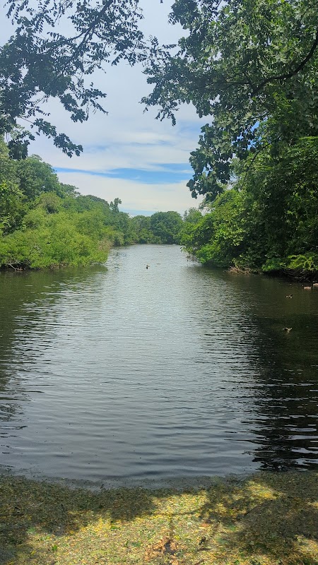 Forest City Community Park