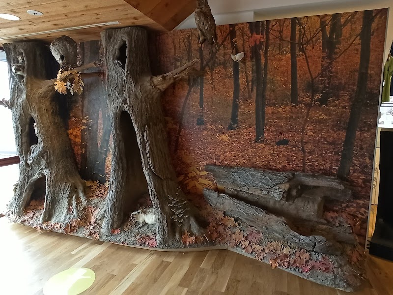 South Fork Natural History Museum & Nature Center